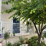 Tani's House