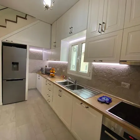 فيلة Tani's House