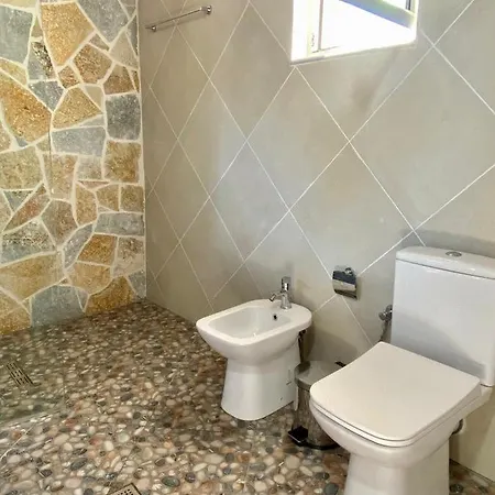 فيلة Tani's House