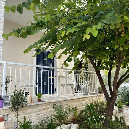 Tani's House