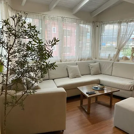 فيلة Tani's House