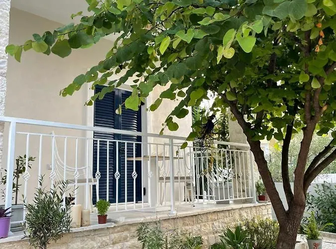 Tani's House